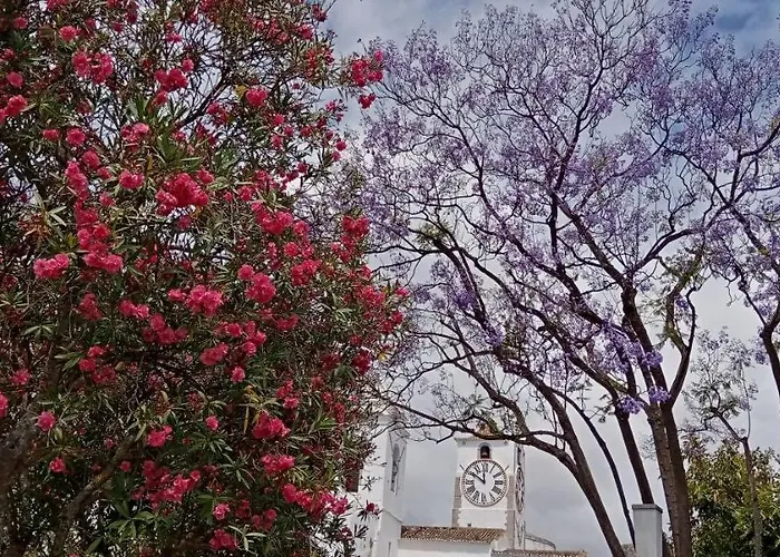 Le Boucanier * Tavira