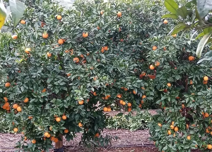 Le Boucanier Lägenhet