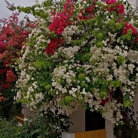 Le Boucanier טאווירה