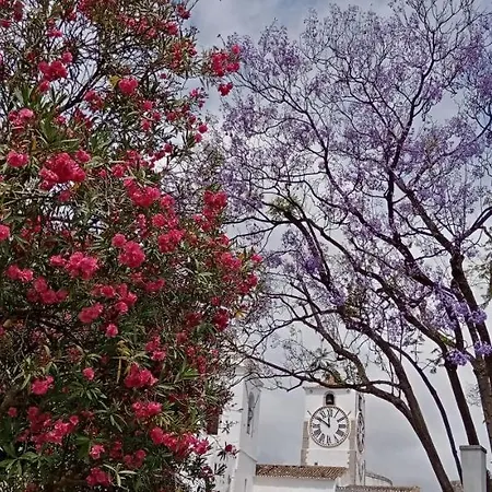 Le Boucanier * Tavira