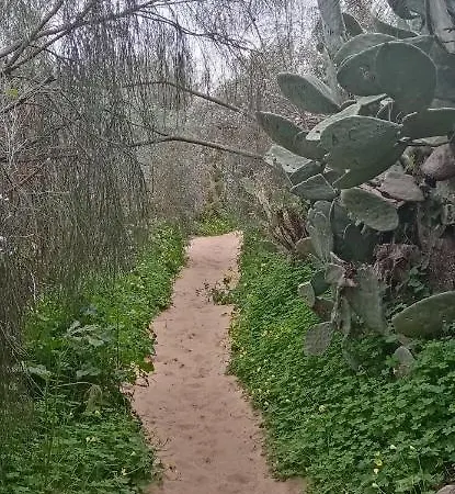 Le Boucanier Тавира