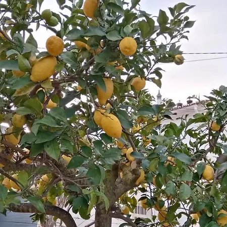 Le Boucanier דירה